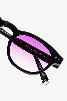 NOAH PURPLE STUDIO