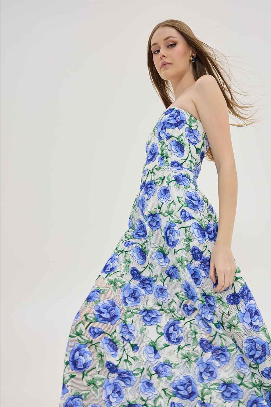 LIONO DRESS